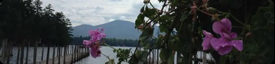 pink flower.jpg